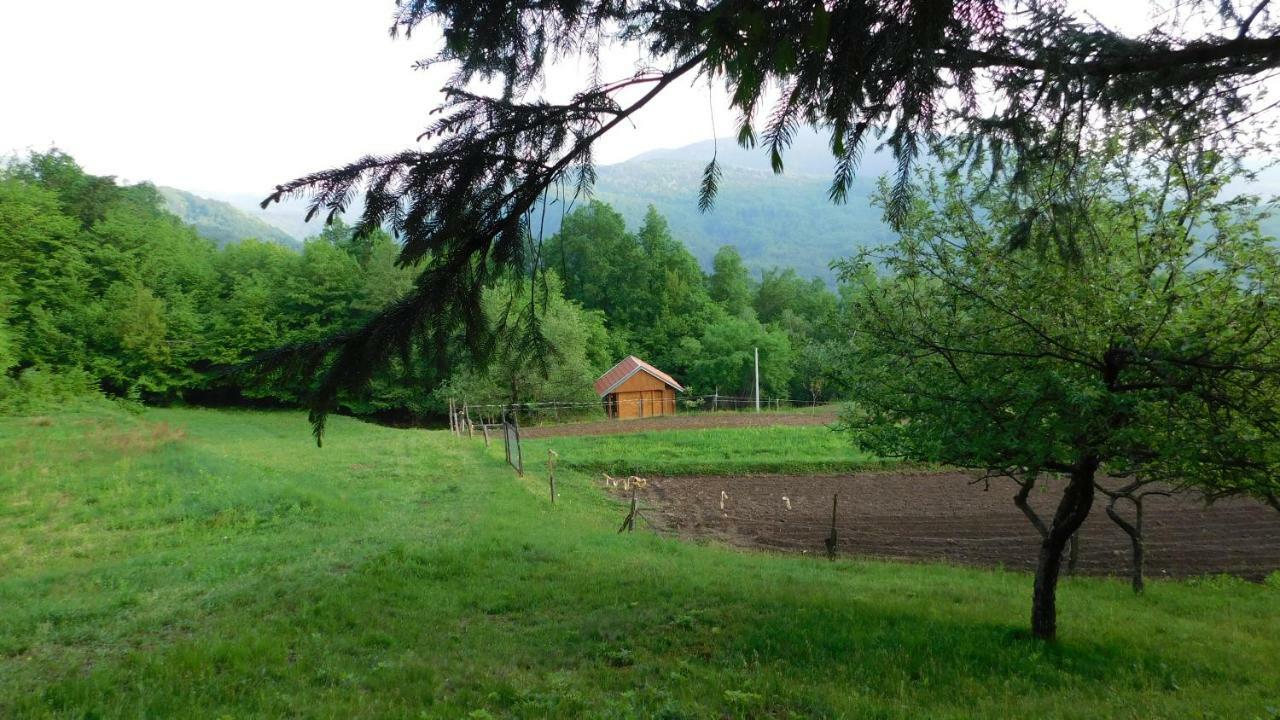 Robinzonski Turizam "Robin' S Hood" Skrad Εξωτερικό φωτογραφία